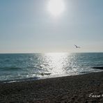 Spiaggia di Brighton