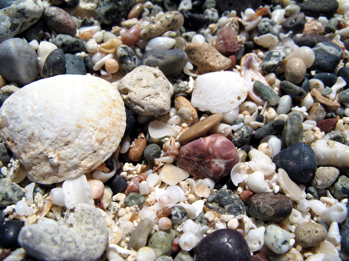 SPIAGGIA DI CONCHIGLIE di Efrem Picco 