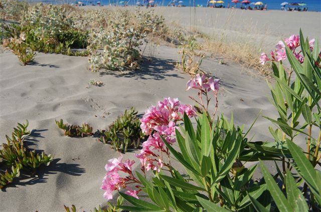 Spiaggia di Feraxi Sardegna