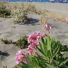 Spiaggia di Feraxi Sardegna