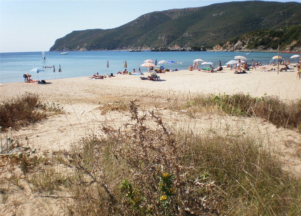 Spiaggia Di Lacona Spiaggia Di Sabbia Allelba A Capoliveri