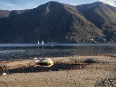 Spiaggia di Lugano