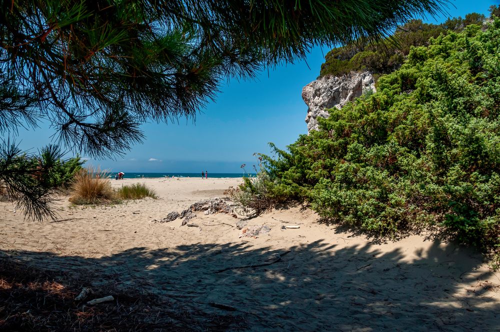 marina di alberese spiaggia