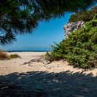 Spiaggia di Marina di Alberese