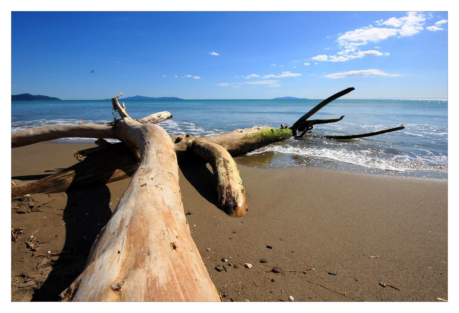 Spiaggia di Marina di Alberese