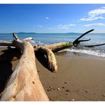 Spiaggia di Marina di Alberese