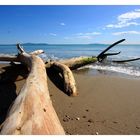 Spiaggia di Marina di Alberese