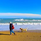 SPIAGGIA DI PORTO RECANATI (MC)