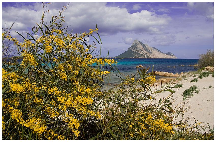 ~ spiaggia di Porto Taverna ~