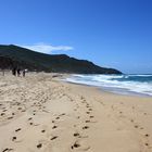 Spiaggia di Scivu