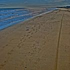 Spiaggia di Siponto