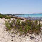 spiaggia Gallipoli