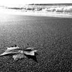 spiaggia in autunno