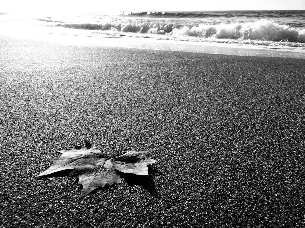 spiaggia in autunno