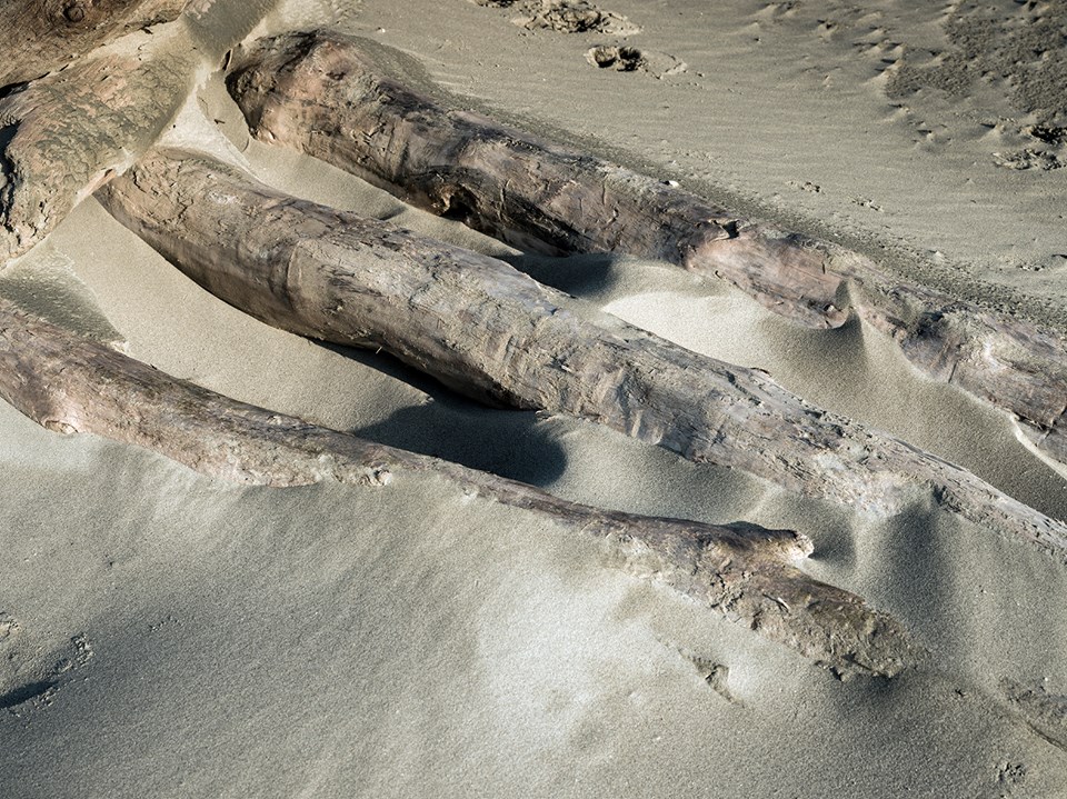 Spiaggia isola della Donzella, Scardovari Italia 