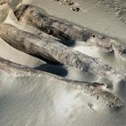 Spiaggia isola della Donzella, Scardovari Italia 