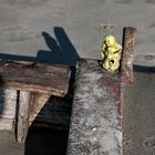 spiaggia isola della donzella w_SS470117