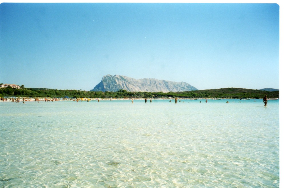 Spiaggia La Cinta San Teodoro Sardegna Foto Immagini