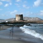 Spiaggia la pelosetta + Capo Falcone.