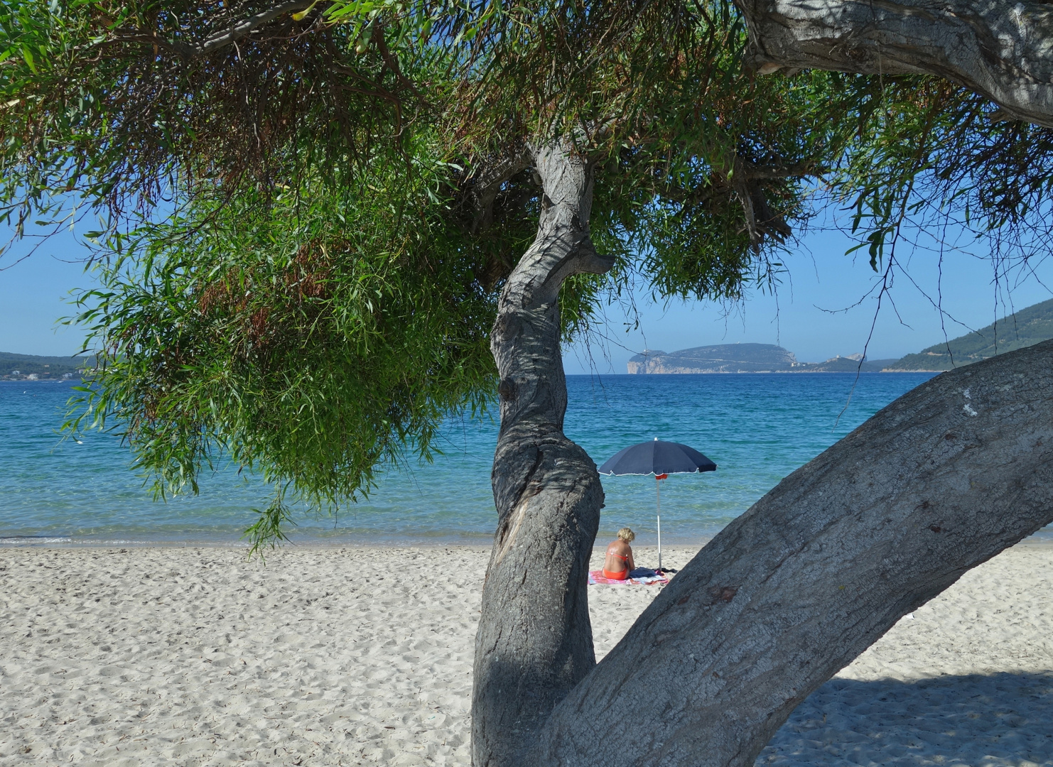Spiaggia Mugoni Alghero Foto Immagini World Alghero