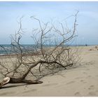 spiaggia solitaria