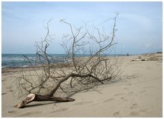 spiaggia solitaria