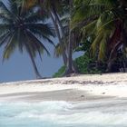 spiaggia tropicale