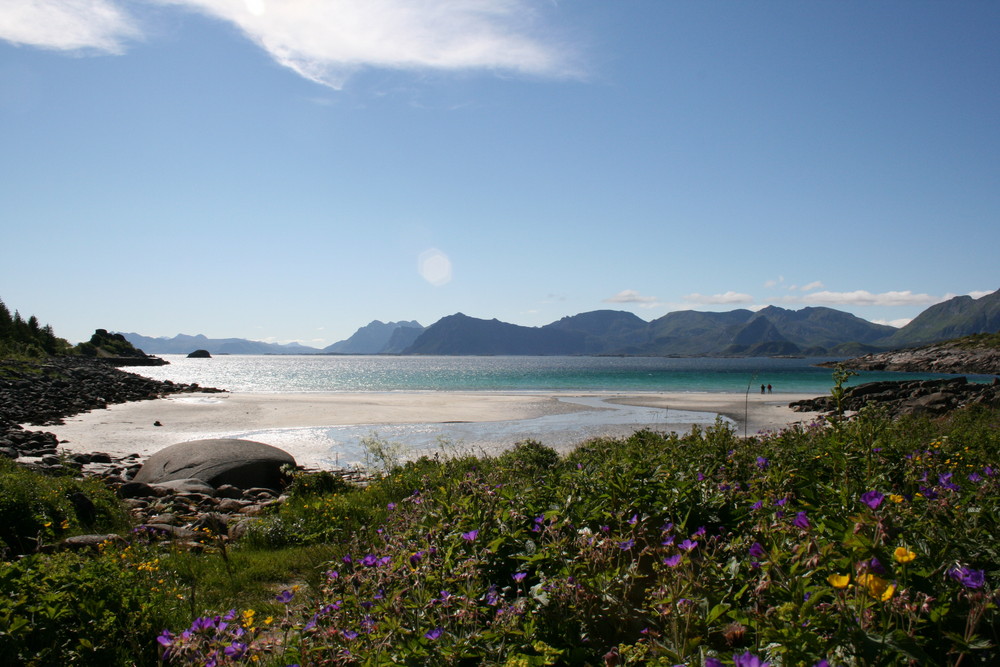 SPIAGGIA TROPICALE