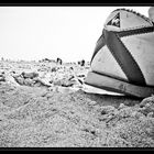 Spiaggia vista da un granchio