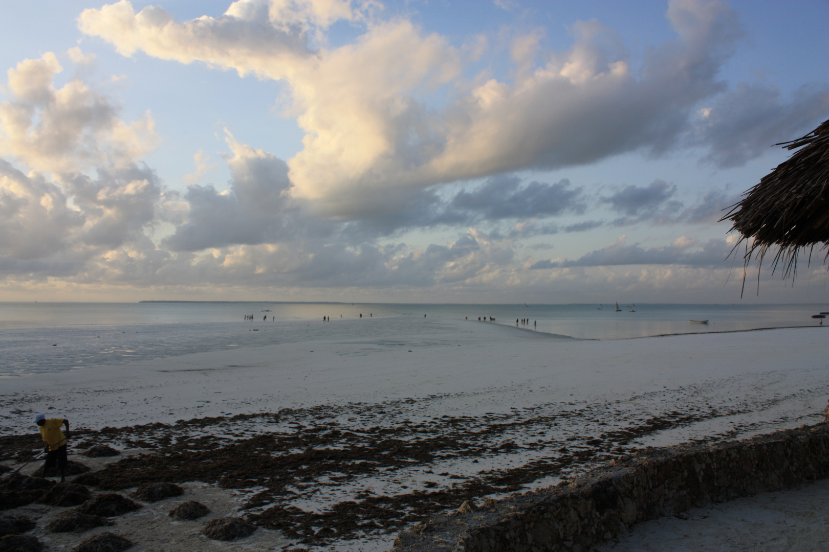 spiaggia zanzibarina....tramonto