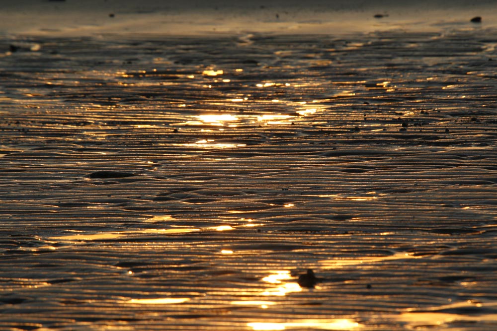 spiaggia...dorata