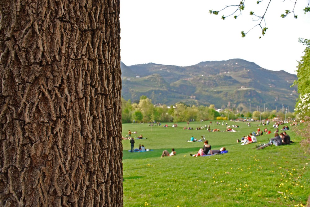 Spiando la primavera