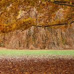 Spicchio d'autunno