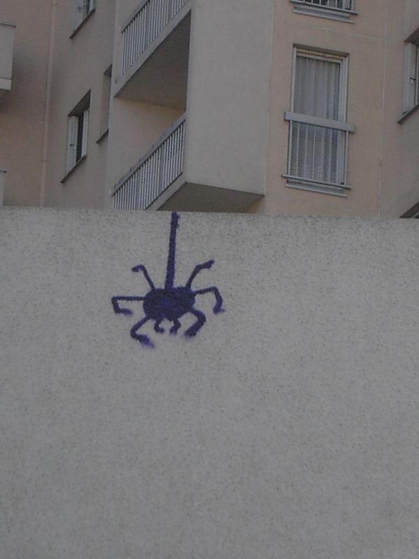 Spider