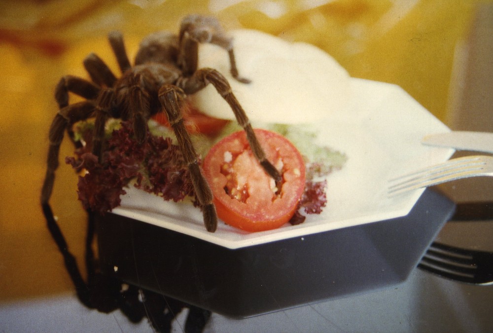 Spider-Burger