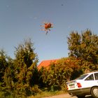 Spider