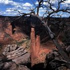 Spider Rock im Licht