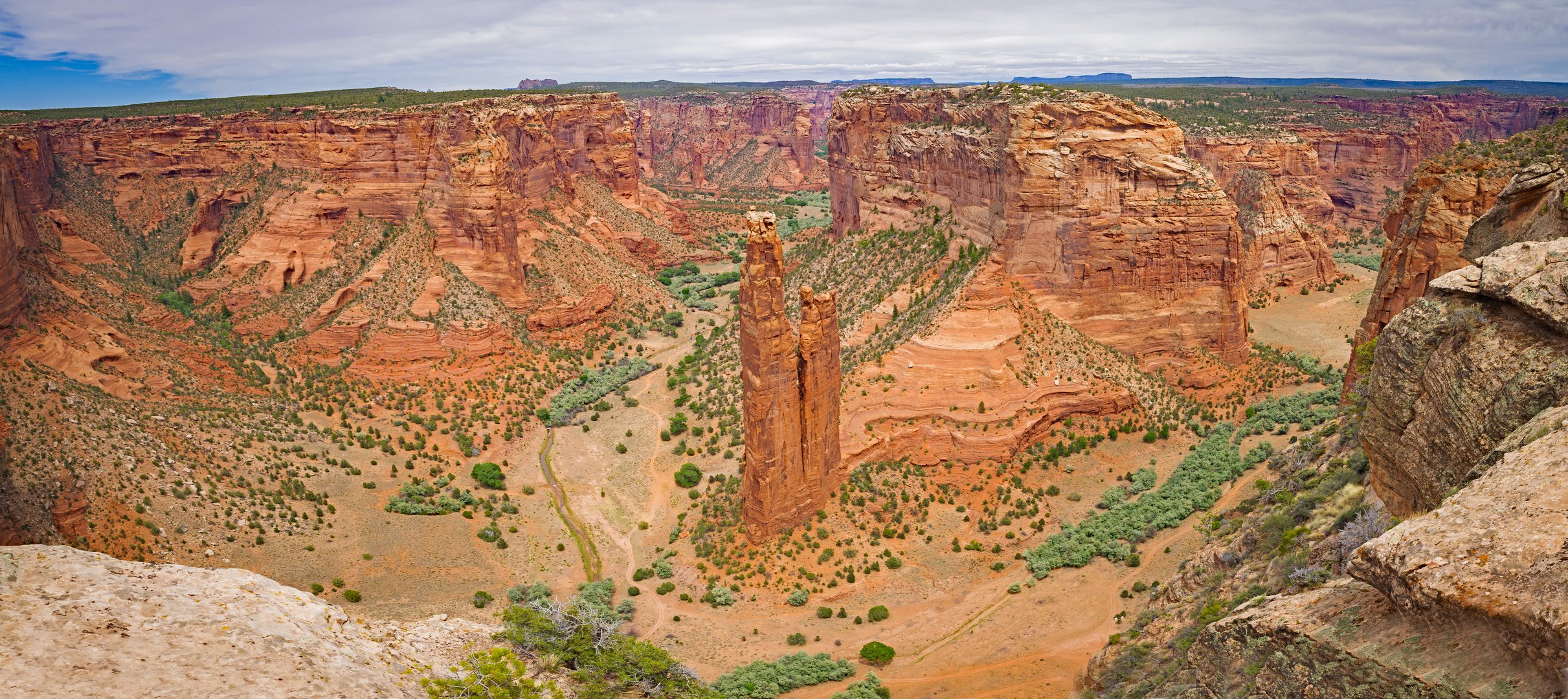 Spider Rock Pano