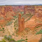 Spider Rock Pano