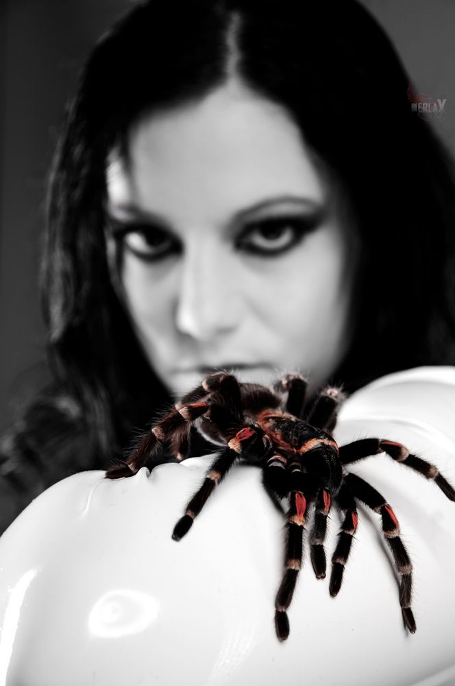 Spider vs. Model I