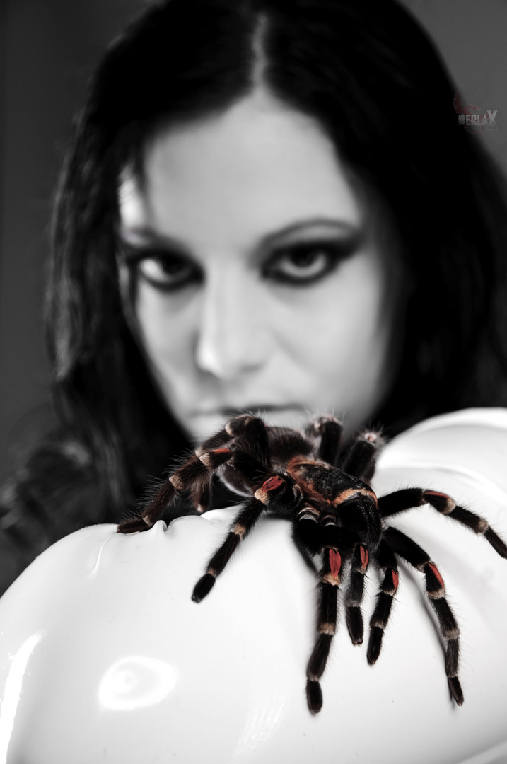 Spider vs. Model I