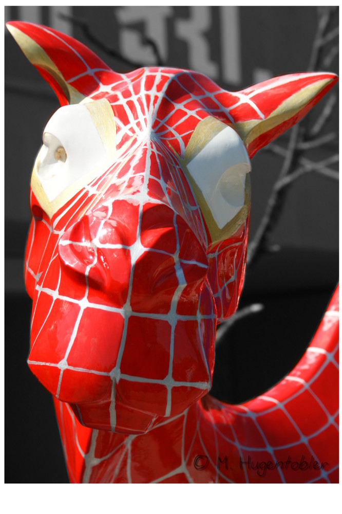 SpiderCamel