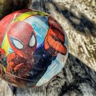 /// Spider.man ///