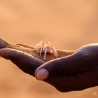 Spiderman and Dancing White Lady