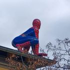 Spiderman hält Ausschau