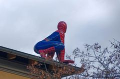 Spiderman hält Ausschau