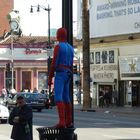 Spiderman in LA.