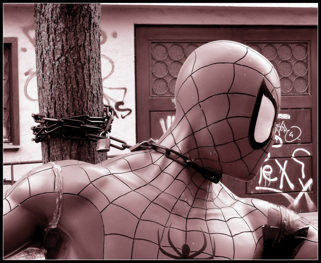Spiderman in Tübingen...