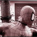 Spiderman in Tübingen...