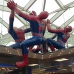 Spiderman trifft man auch manchmal...